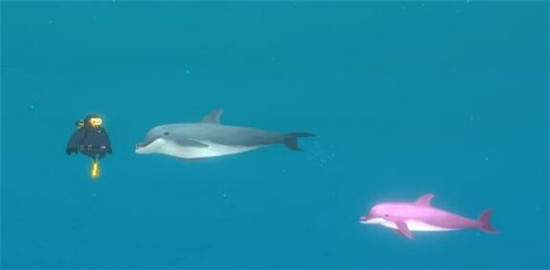 潜水员戴夫粉海豚拍照失败怎么办 潜水员戴夫粉海豚拍照失败解决办法