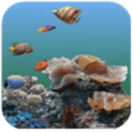 3d海底世界动态屏保（3D海底世界动态壁纸） v6.4